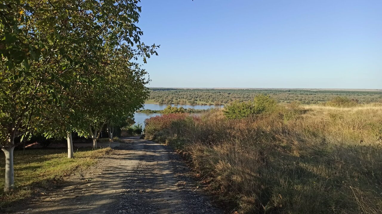 Zemljani put kroz drvored koji izlazi na jezero i ravnicu