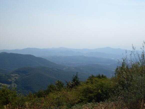 Izmaglica nad pošumljenim brdima u daljini